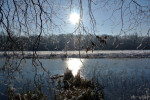 Oostbroek, dec 2012.